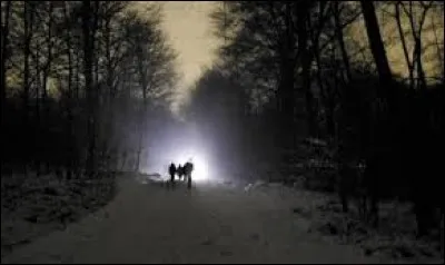 Tu as trouvé à manger et un abri pour la nuit. Seulement, tu entends des voix. Ce sont deux d'autres tributs qui s'approchent. Ils ne t'ont pas encore vu. Que fais-tu ?