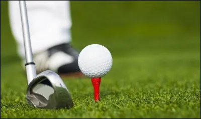 Quel est ce petit objet ?