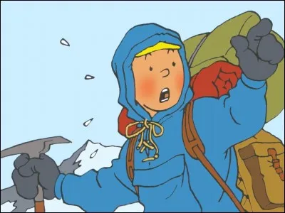 Dans une des aventures, Tintin se retrouve au Tibet. Aujourd'hui partiellement région autonome, quelle est son drapeau ?