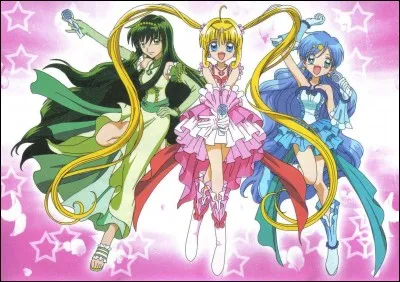 Combien y a-t-il de saisons ?