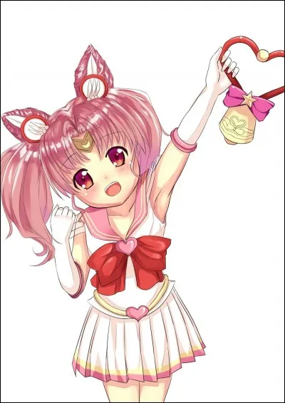 D'ou vient Chibiusa ?
