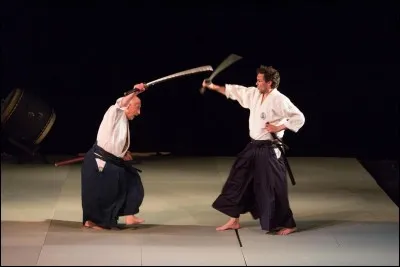 Lequel des sports suivants traduit "arts martiaux" ?