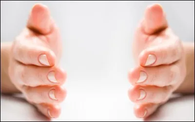 A quelle partie du corps correspond le mot "mano" ?