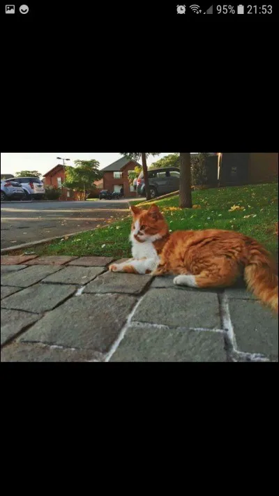 Que fait-il principalement de ses journées ?