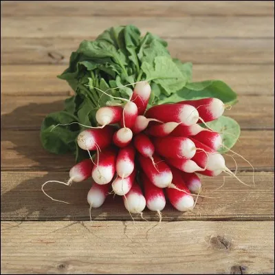 On connaît aussi celle de Nevers, c'est la...