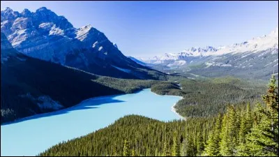 On ne s'attend pas à ce que ce magnifique lac de l'Alberta, situé dans le parc national de Banff, possède des eaux d'une couleur aussi enivrante. La raison en est qu'à la fonte des glaciers, il y a un apport de particules minérales qui confèrent aux eaux du lac cette lumineuse et fascinante couleur turquoise.
Quel est le nom de ce lac ?