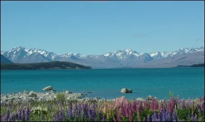 Installé sur l'île du Sud en Nouvelle-Zélande et bordé de collines majestueuses, ce lac nous offre des eaux d'une rare clarté. On y pratique avec plaisir le kayak, la baignade, la pêche et la parapente. Un splendide paysage est observable des montagnes grâce aux sentiers pédestres.
Ses eaux proviennent de la fonte de glaciers qui sont à l'origine de la couleur bleu turquoise.
Où sommes-nous ?