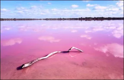 Niché sur la côte de Corail, en Australie-Occidentale, il s'agit d'un lac salé d'environ 14 km. Ses eaux sont roses à cause de la présence de caroténoïde dans les algues, un agent de coloration aliment alimentaire. Pouvez-vous le trouver parmi les trois ici-bas ?