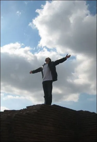 Qui chantait, 'Il est libre Max' ?