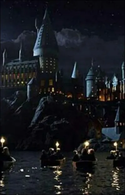 Ne souhaitant pas être en retard, tu sors du train, avec appréhension, tu te mets dans une barque :