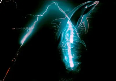 Le 2 mai, environ 24 ans plus tôt, se déroula la bataille de Poudlard... Si tu avais participé à cette guerre, quelle place aurais-tu occupé ?