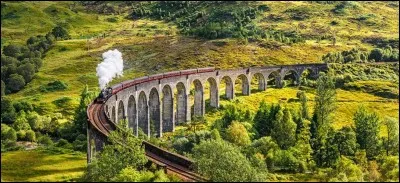 Tu rentres dans le Poudlard Express, tu t'assoies à côté d' :