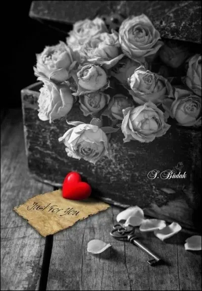 À qui sont les paroles "J'avais pas les mots, Maman je t'aime" ?