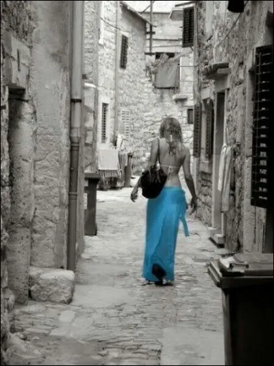 Et enfin qui chantait "Je suis partie un soir d'été, sans dire un mot, sans t'embrasser" ?