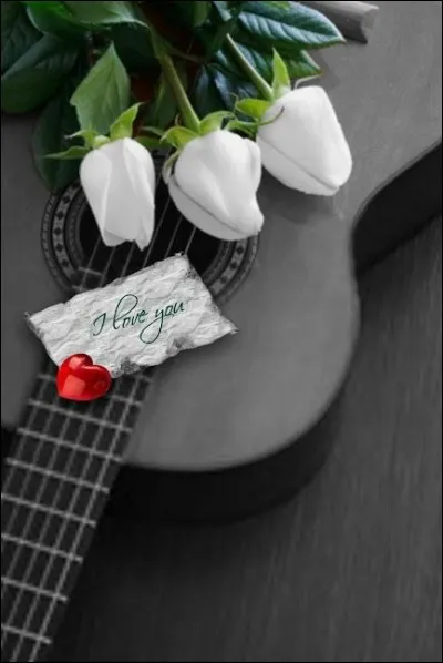 Qui chantait "Quelques mots d'amour qu'elle ont crus un jour, avant d'être femmes..." ?