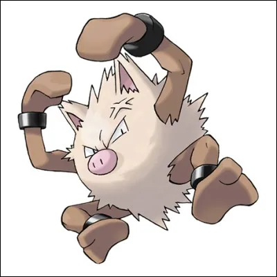 Quel est ce Pokémon ?