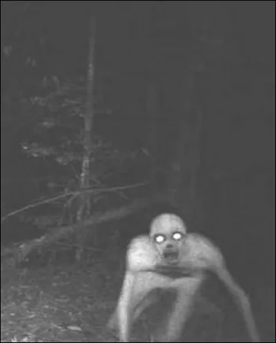 Grâce à quoi le genre «horreur » prend-il vraiment son essor en 1930?