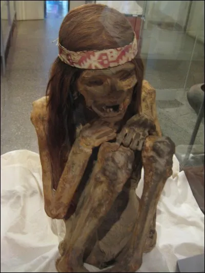 Qui a écrit "La Momie" ?