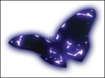 Comment s'appellent les papillons que Ladybug attrape ?