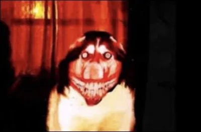 À quelle légende urbaine appartient cette image ?