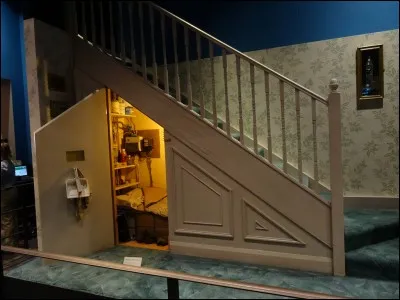 Après la mort de ses parents, Harry Potter vit chez son oncle et sa tante. Où dort-il ?