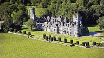 C'est pour ce superbe château que se déchirent une rock star et son épouse styliste à succès dans le film "Une affaire de coeur" (Laws of attraction). Portant le nom (dans le film) de Caisleán Cloiche, où est-il situé ?