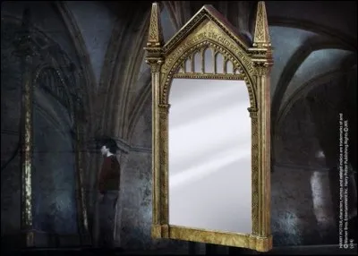 Que voit Dumbledore dans le miroir du risèd ?