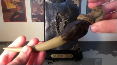 Quel horcruxe Ron détruit-il ?