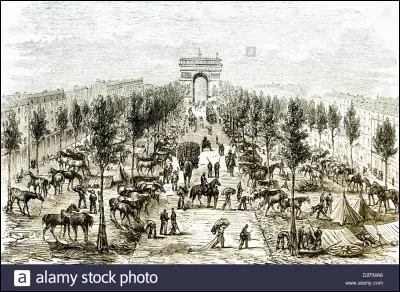 Le 1er mars 1871, les envahisseurs défilent dans la capitale à côté de français humiliés. Que proclament certains parisiens ?