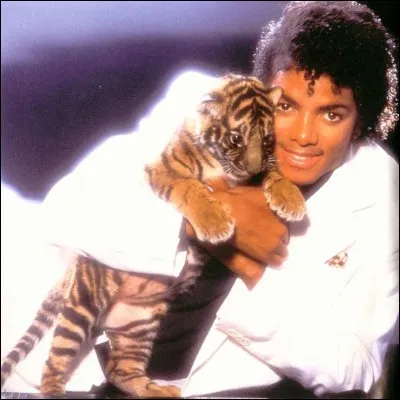 Cette photo a été capturée en même temps que celle utilisée pour la pochette de son album ---