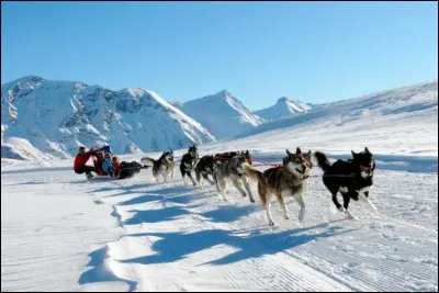 Quel est nom d'un meneur de chiens de traineaux ?