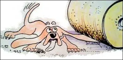 De quel sujet traite 'La rubrique des chiens écrasés' dans un journal ?