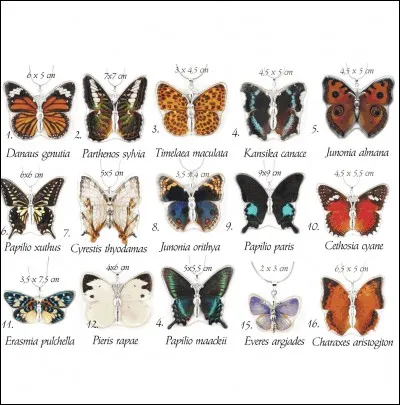 La réponse correcte est :