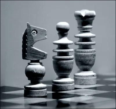 Quelles sont les 2 seules pièces qui peuvent effectuer le premier mouvement dans un jeu d'échecs ?