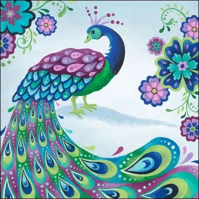 Selon l'expression consacrée, si vous réalisez un score de 100 % sur ce quiz, que pouvez être, comme lui ?