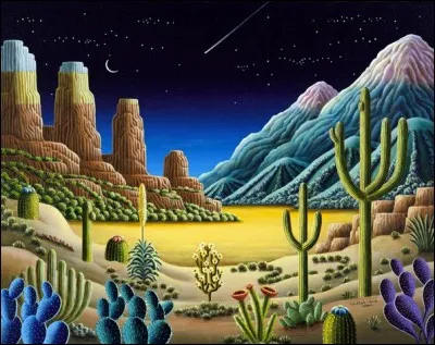 Où se trouve le désert de Chihuahua ?