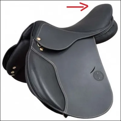 Quel est cette partie de la selle ?