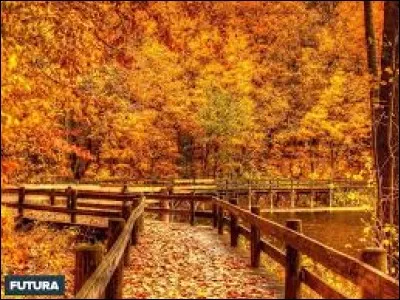 O - Cliquez sur le nom d'une Opel existante.