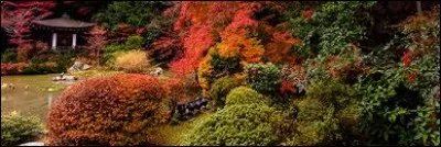 N - Dans quel pays Nelson Mandela a-t-il déjà été président ?