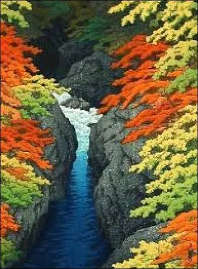 E - Quel pays a gagné l'Euro 2016 ?