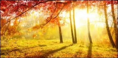 U - Lequel de ces animaux ulule ?