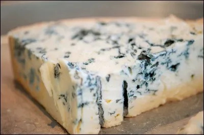Fromage traditionnel à base de lait de vache, à pâte persillée, fabriqué dans les régions de Lombardie et du Piémont. Sa période de consommation idéale s'étale d'avril à septembre après un affinage de 5 à 7 semaines. Depuis 1996, il bénéficie d'une appellation d'origine protégée (AOP).