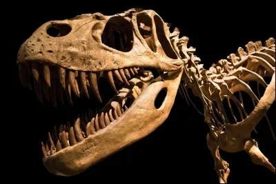 À quand remonte l'histoire de London ?