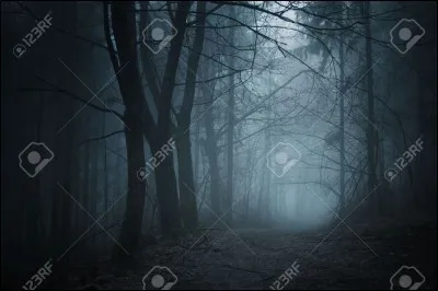 Les apprentis, une fois bien entraînés, vont vivre leur destin dans un lieu dangereux, plein de pièges et d'animaux sauvages.
Lequel ?