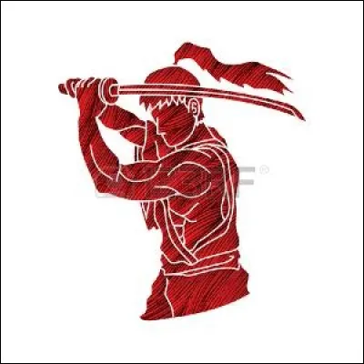 De quoi vous servez-vous pour combattre ?