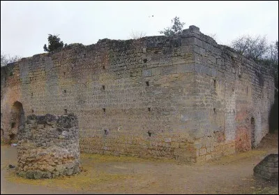 Dans quelle ville de France peut-on voir les vestiges du plus ancien château fort ?