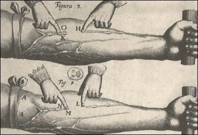 Qui a découvert la circulation sanguine ?