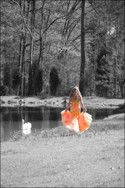 Complétez cette citation que vous connaissez tous ! " Ô temps suspends ton..."