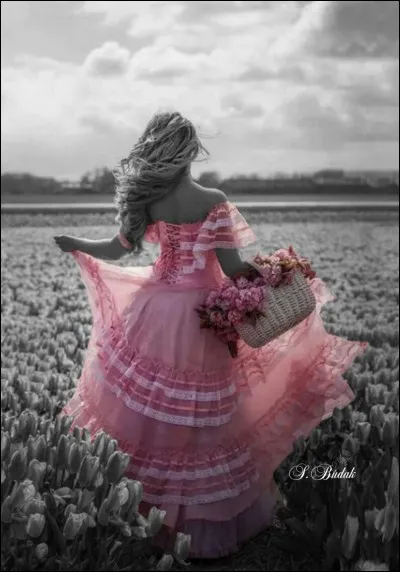 Qui fut le grand amour de Lamartine ?