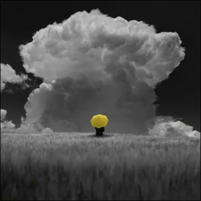 Il a également écrit :